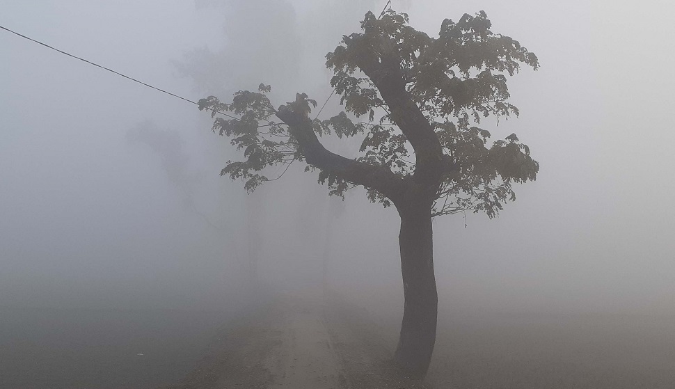 ১১৮ বছরে সর্বনিম্ন তাপমাত্রা দিল্লিতে