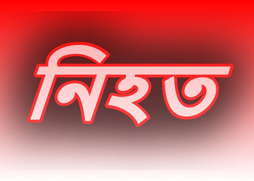 ভারত-পাকিস্তান সীমান্তে বিএসএফের গুলিতে নিহত ৫